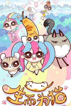 徐州网站建设及优化